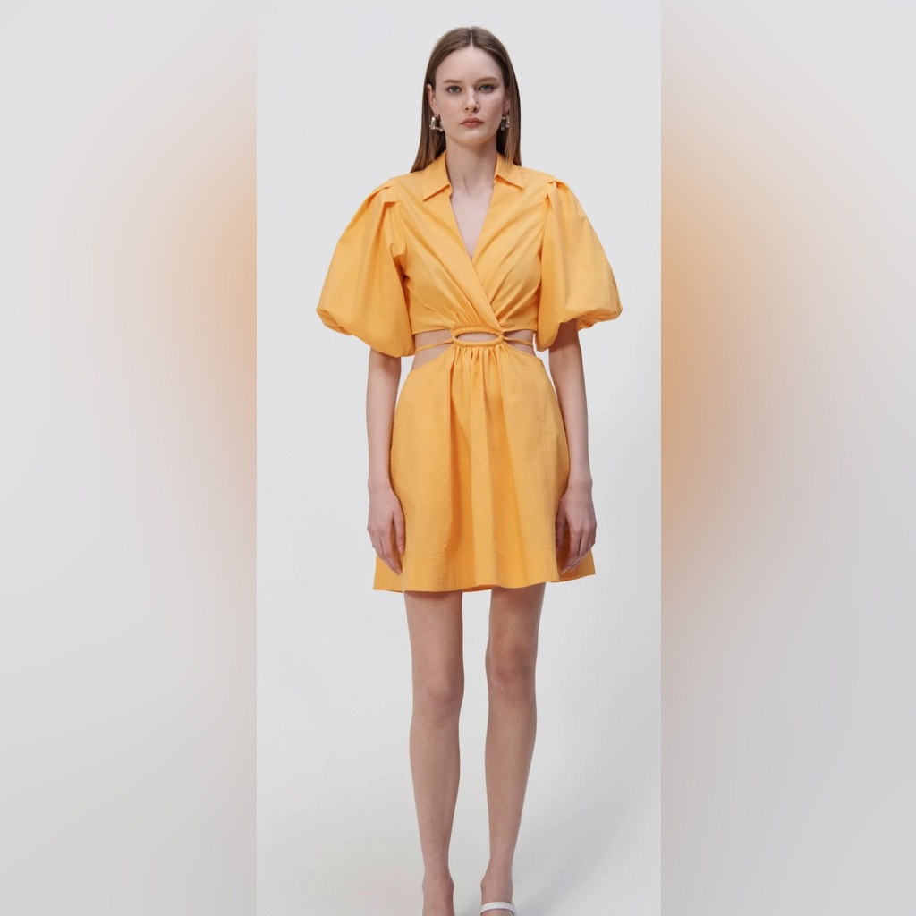 Aulora Mini Dress